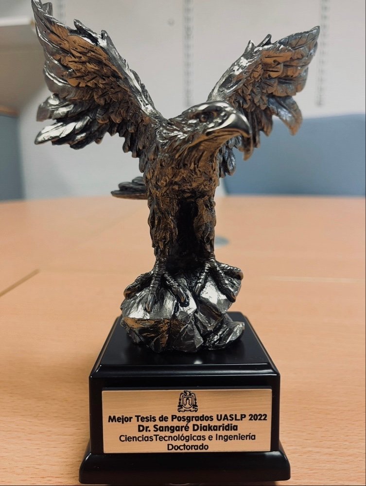 Best doctoral thesis award