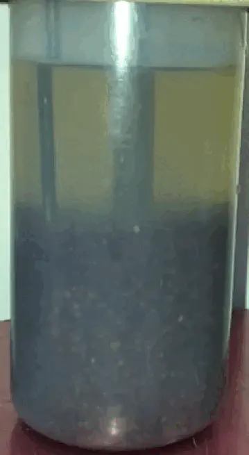 Experimental observation of hydrodynamics and particle distribution at 550 rpm.